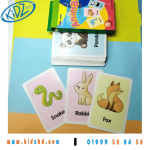 Animals Picture Flash Card 36 pcs