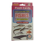 Flash Card – Fishes 24 pcs